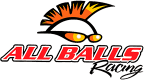 ALL BALLS RACING 48-1004