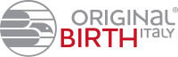 BIRTH Querlenker (BR1143) INNOCENTI Mini Schrägheck 0.65 (23 KW / 31 PS / de 1990)