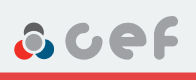 Bremseslange 1 631 048 CEF 510545