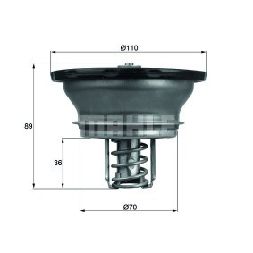 BEHR THERMOT-TRONIK MERCEDES-BENZ Termóstato, líquido de refrigeração TX 29 75D