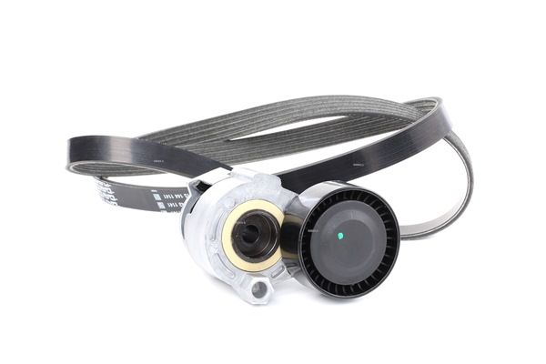 INA Keilrippenriemen 738mm Für RENAULT CLIO II (BB0/1/2, CB0/1/2