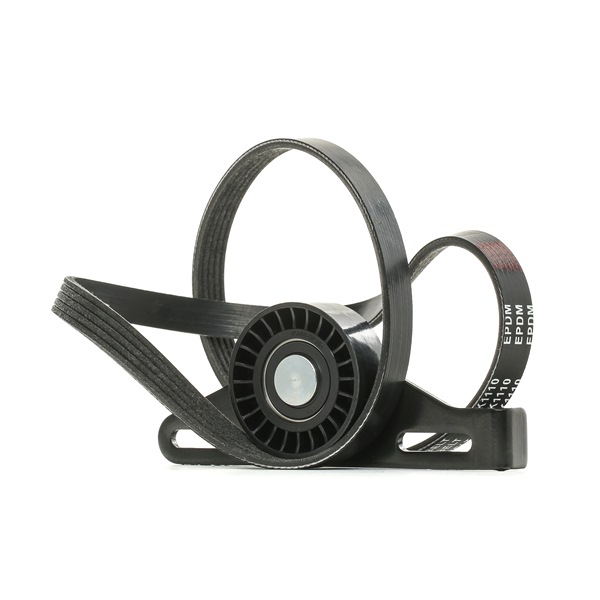 Support Moteur RIDEX Pour Renault Clio II - Référence 247E0145, Compatibilité Large