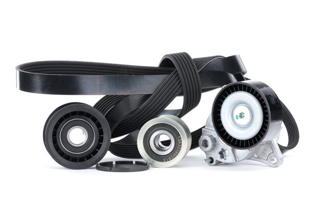OEM 0002020019 RIDEX Jogo de correias trapezoidais estriadas 542R0502 para MERCEDES-BENZ, SMART