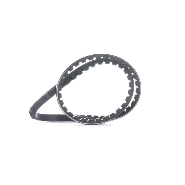 XSARA Correia trapezoidal VKMV 10AVx710 SKF