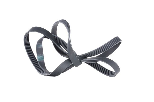 6659970392 OEM Part Number V-Ribbed Belts