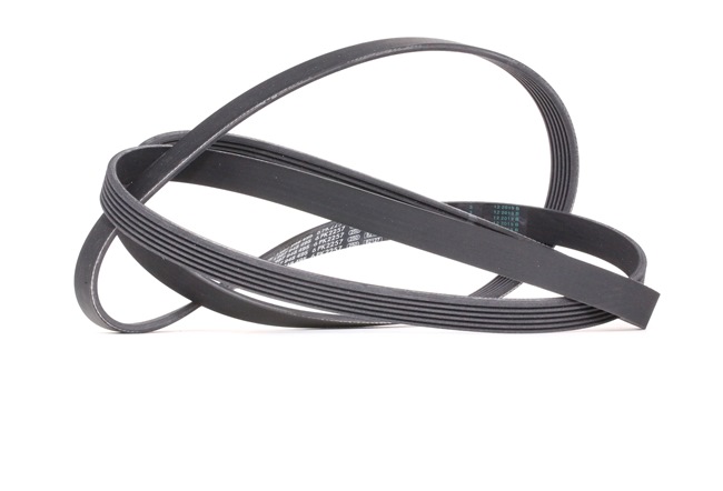 6659970392 OEM part number V-Ribbed belts