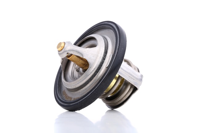 NIPPARTS MITSUBISHI Termóstato, líquido de refrigeração J1538004