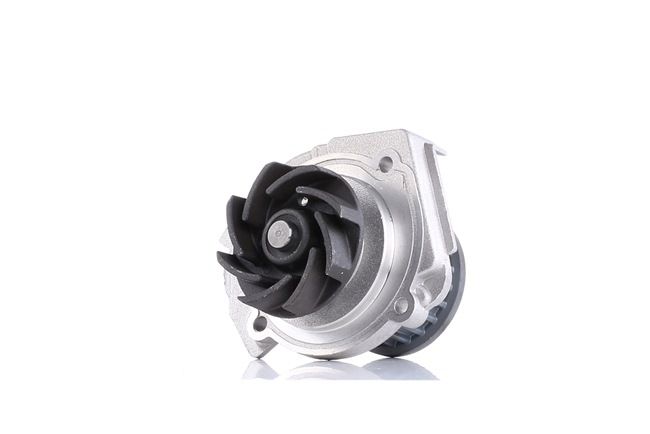 Dolz S320 Pompa acqua
