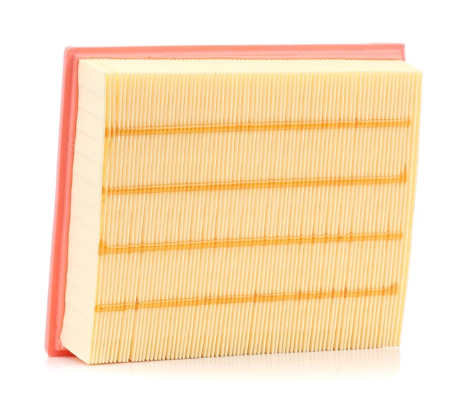 Filtro de aire Ridex 8A0002