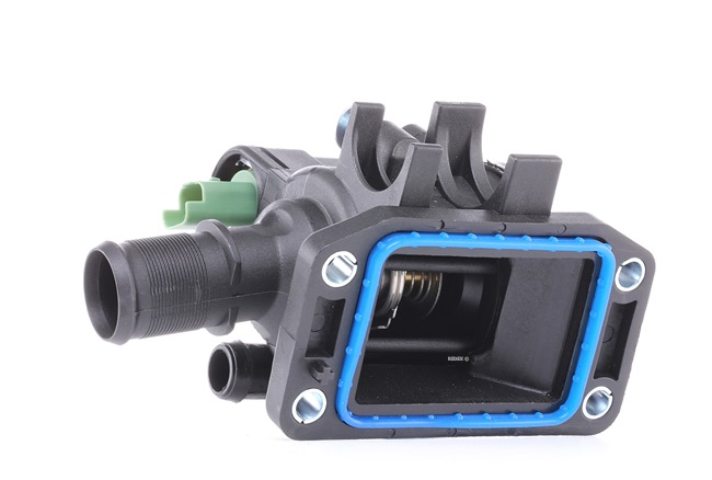 OEM 1336V6 RIDEX Termóstato, líquido de refrigeração 316T0057 para PEUGEOT, CITROЁN, DS