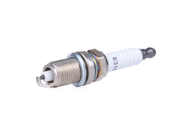 101905601F OEM part number Spark plug