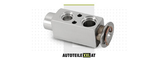 Ersatzteile-Shop für Expansionsventil TESLA