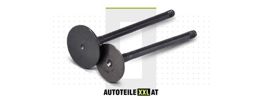 Ersatzteile-Shop für Auslaßventil HYUNDAI SANTA FE
