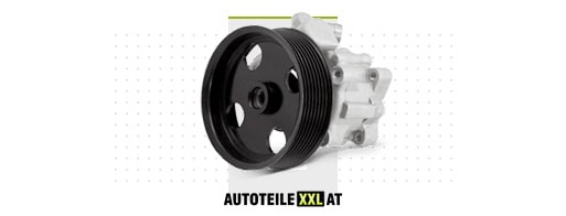 Ersatzteile-Shop für Servopumpe / Flügelpumpe MAHINDRA
