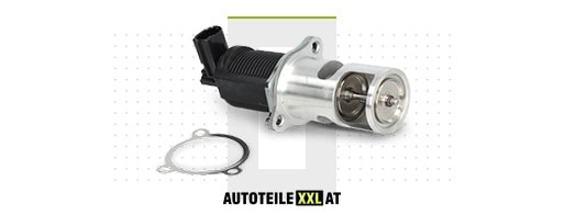 Ersatzteile-Shop für AGR HYUNDAI XG