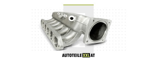 Ersatzteile-Shop für Ansaugbrücke DAF