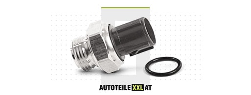 Ersatzteile-Shop für Temperaturschalter Kühlerlüfter PEUGEOT 206