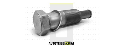 Ersatzteile-Shop für Steuerkettenspanner LUCID