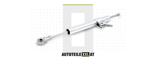 Ersatzteile-Shop für Lenkungsdämpfer BERTONE