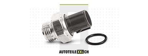 Temperaturschalter Kühlerlüfter RENAULT 4 online