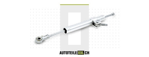 Lenkungsdämpfer MERCEDES-BENZ SL online